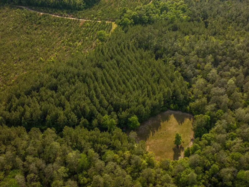 Picture 7
