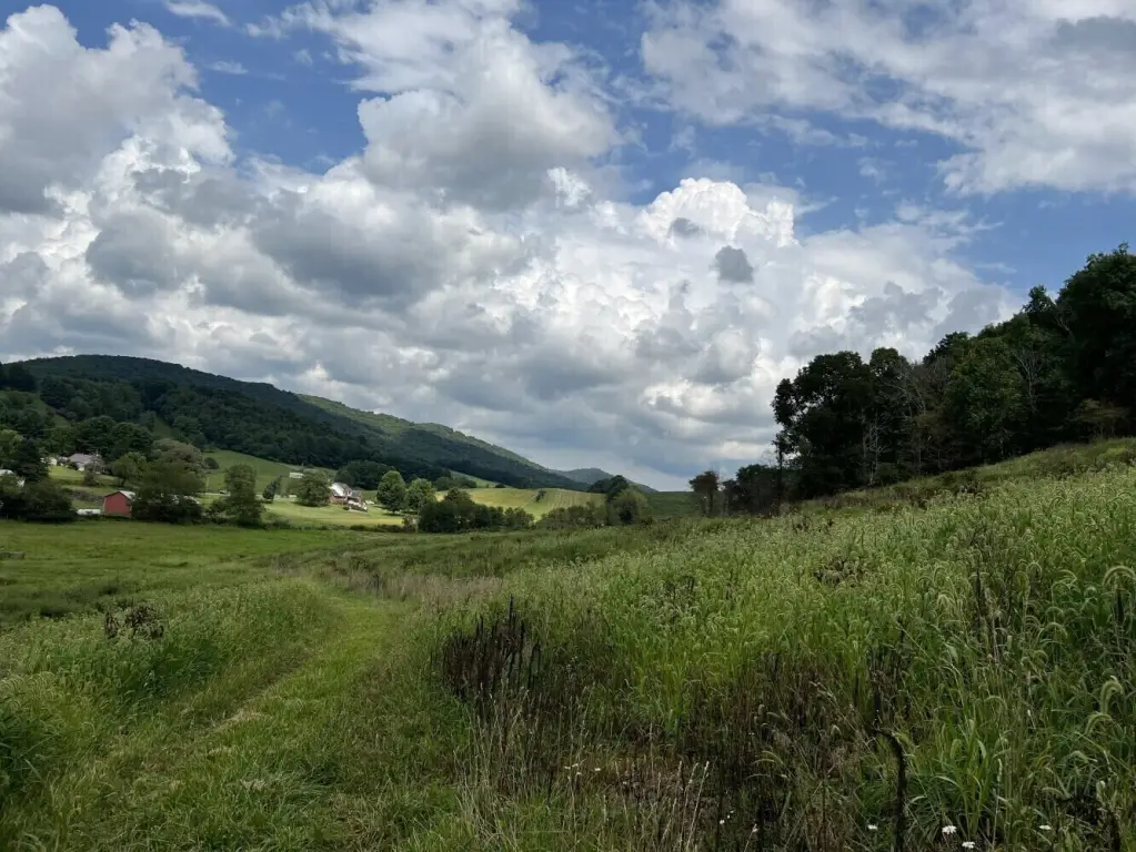 Picture 4