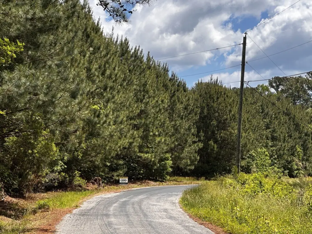 Picture 21