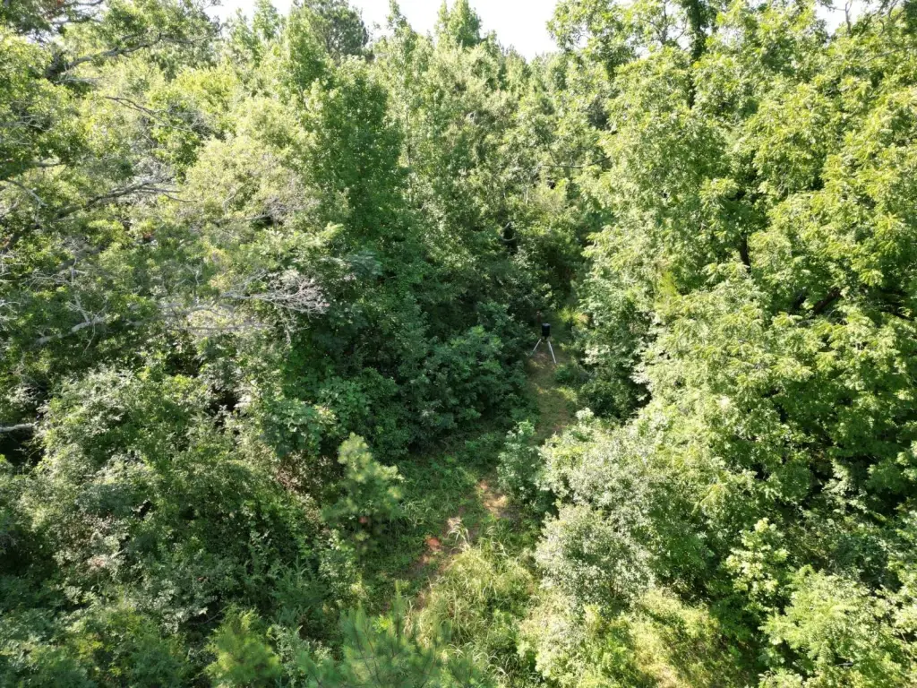 Picture 23