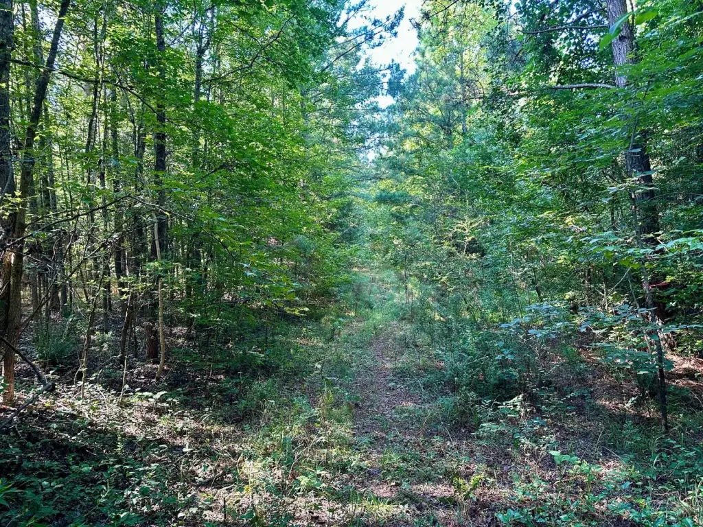 Picture 20