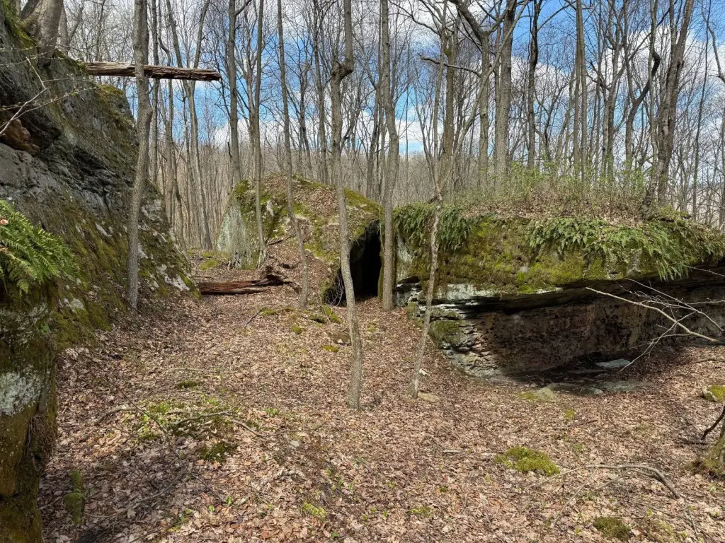 Picture 19
