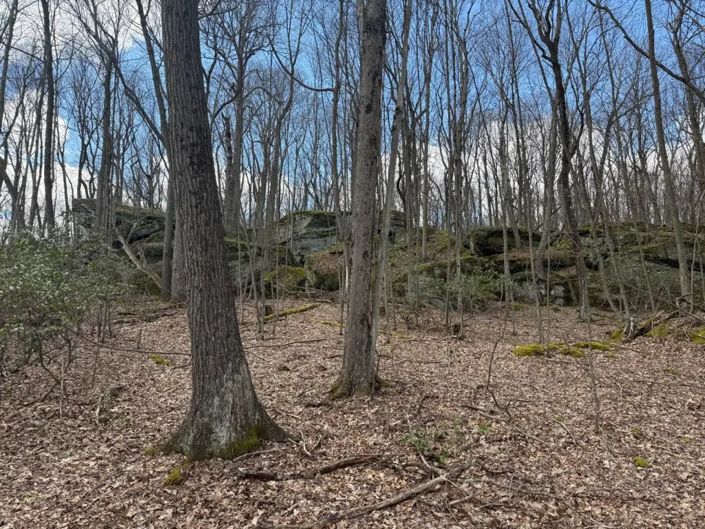 Picture 16