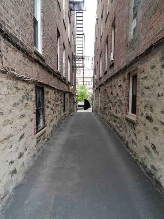 Picture 56