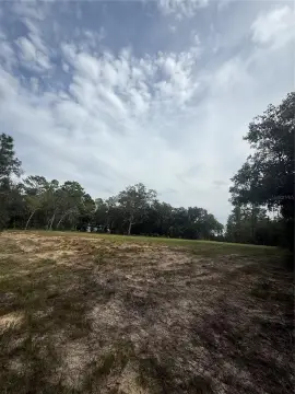 Cleared Lot in Citrus Springs