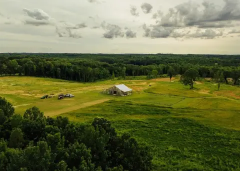 204.9 Acre Farm in Abbeville