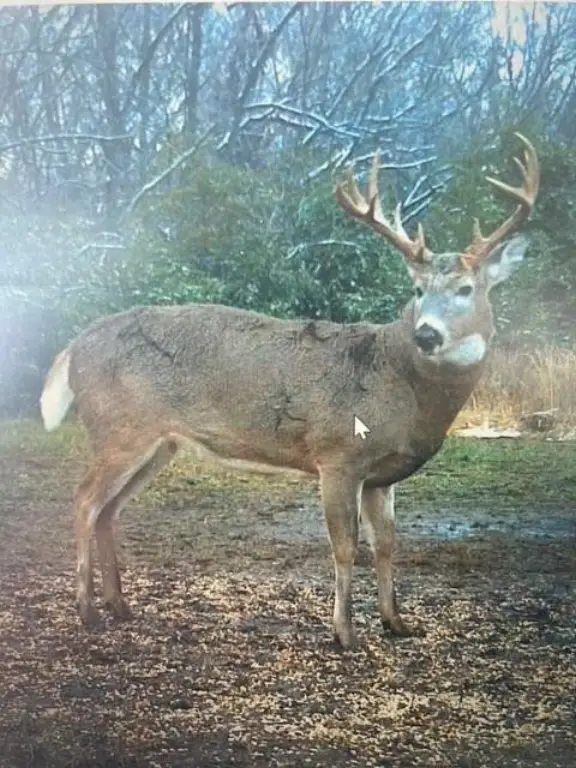 Picture 13