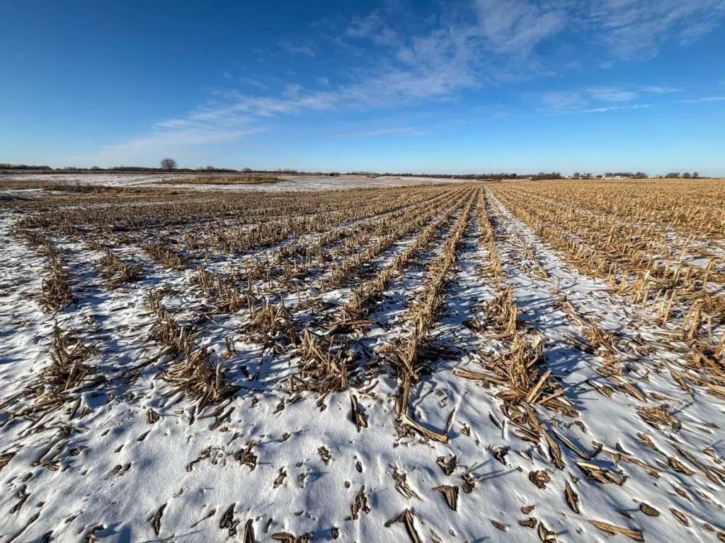 Picture 31