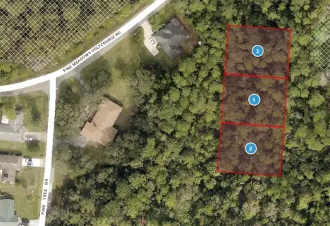 Eustis Land Development Opportunity