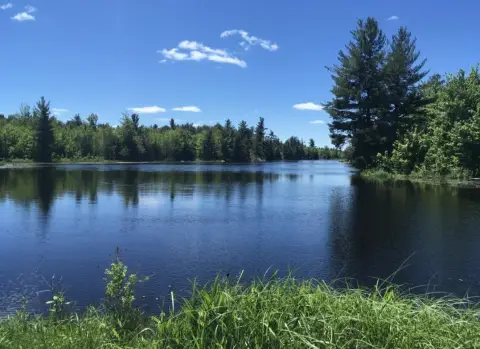 100-Acre Waterfront Cabin Retreat