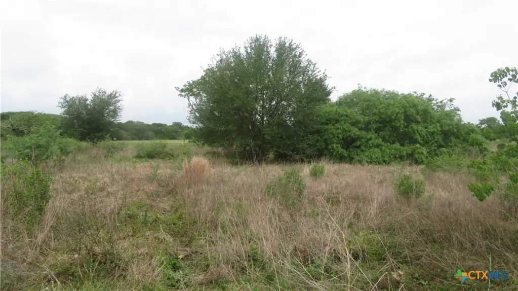 Picture 32