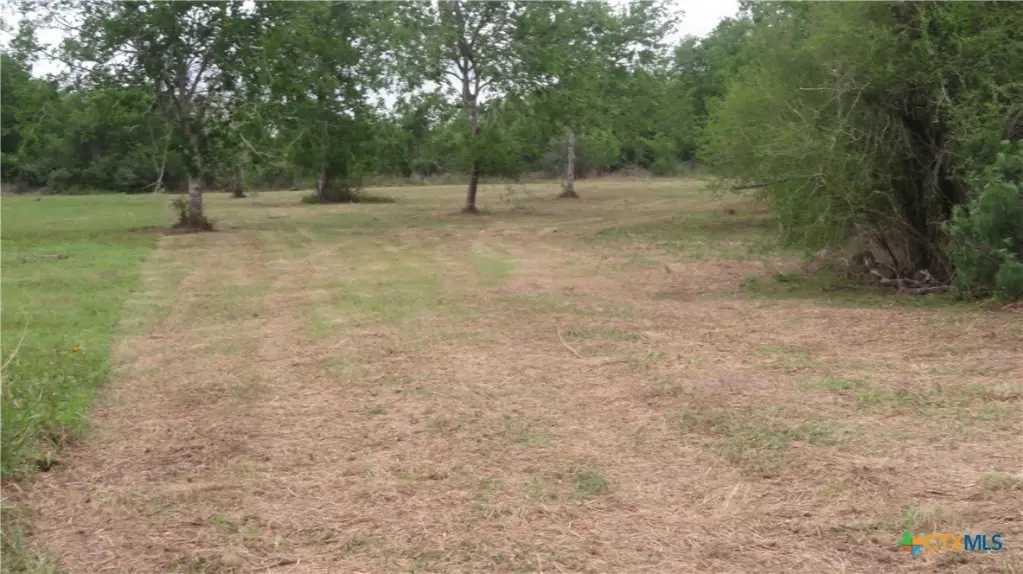Picture 25