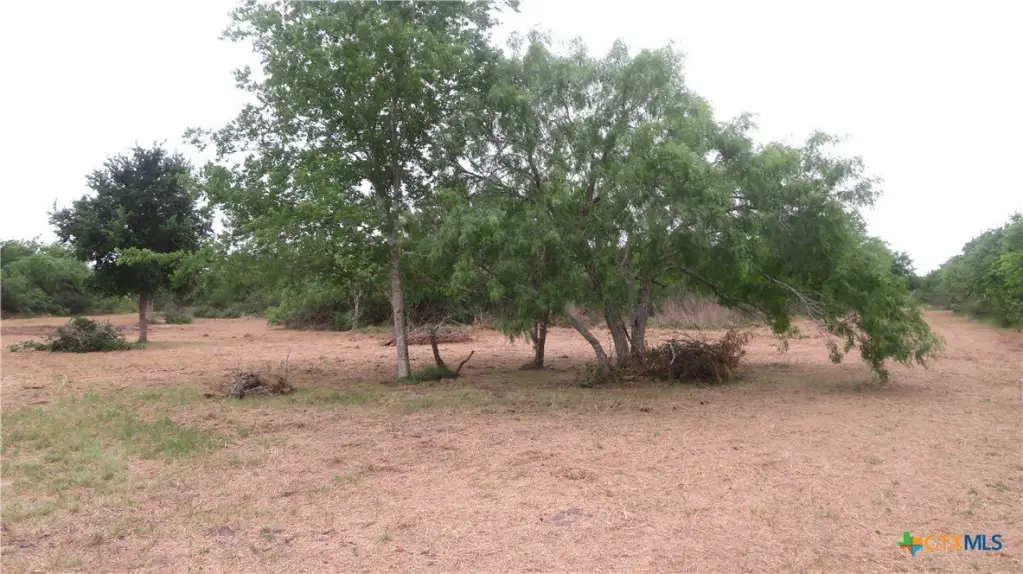 Picture 24
