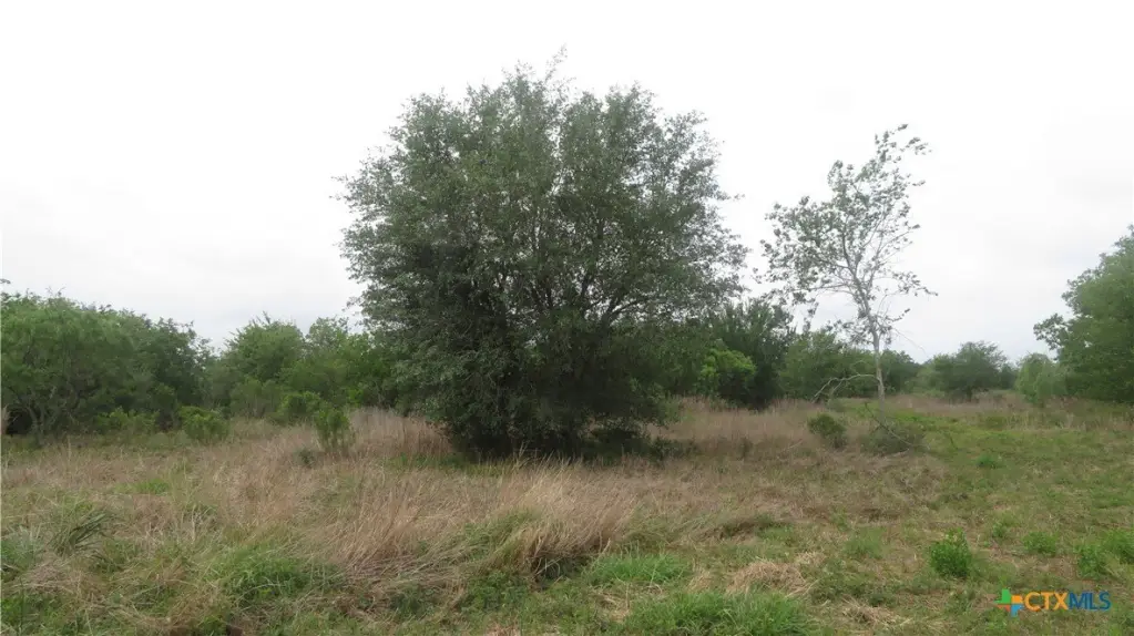 Picture 34