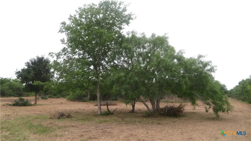 Picture 23