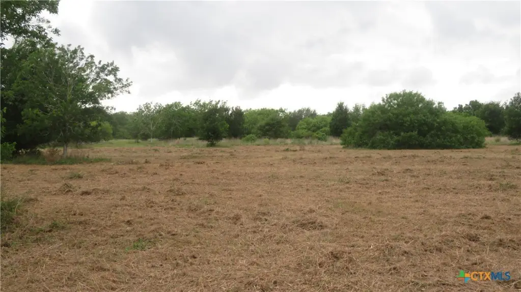 Picture 28