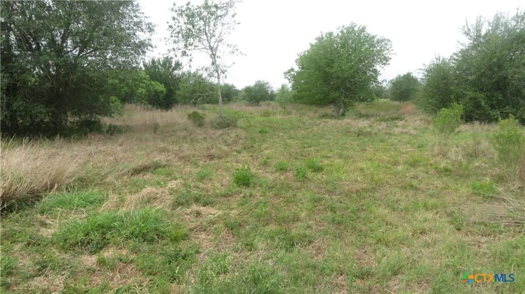 Picture 35