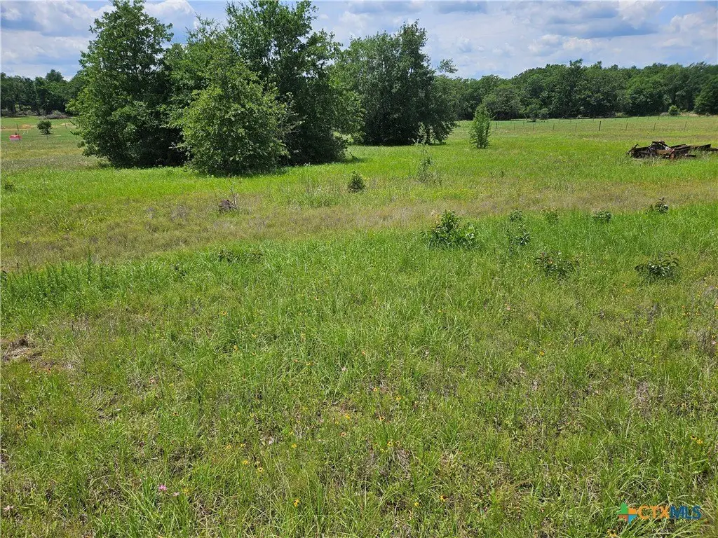 Picture 5