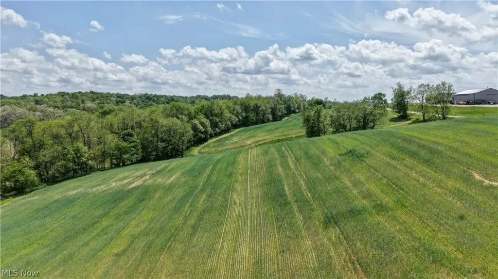 Picture 3