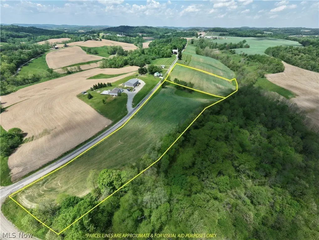 Picture 8