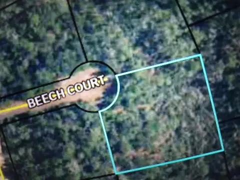 Residential Lot in Alford, FL