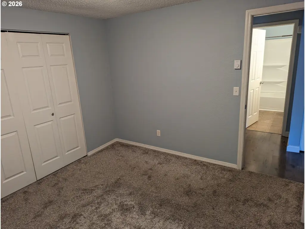 Picture 28
