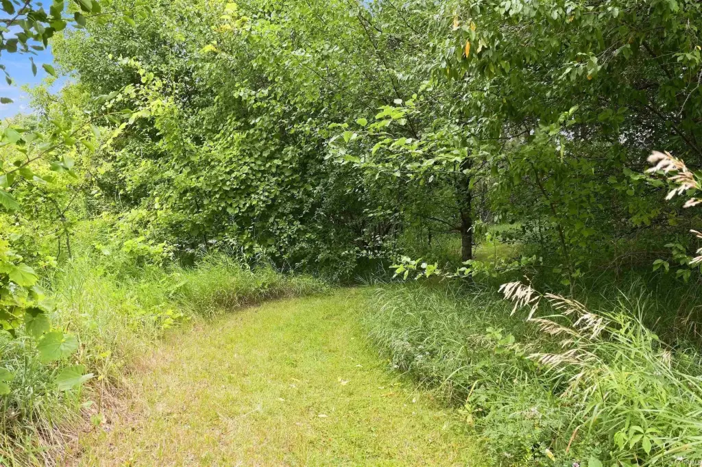 Picture 20