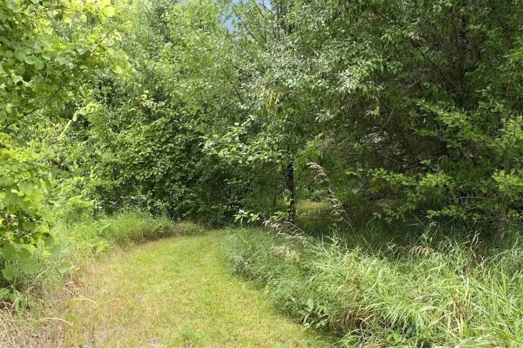 Picture 19