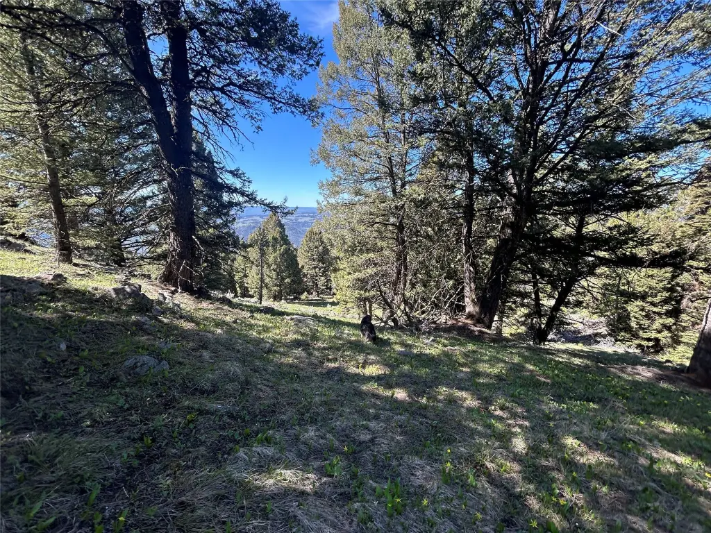 Picture 20