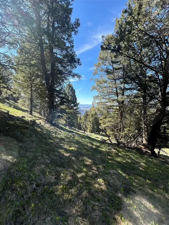 Picture 23