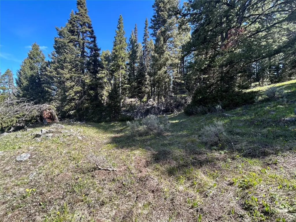 Picture 22