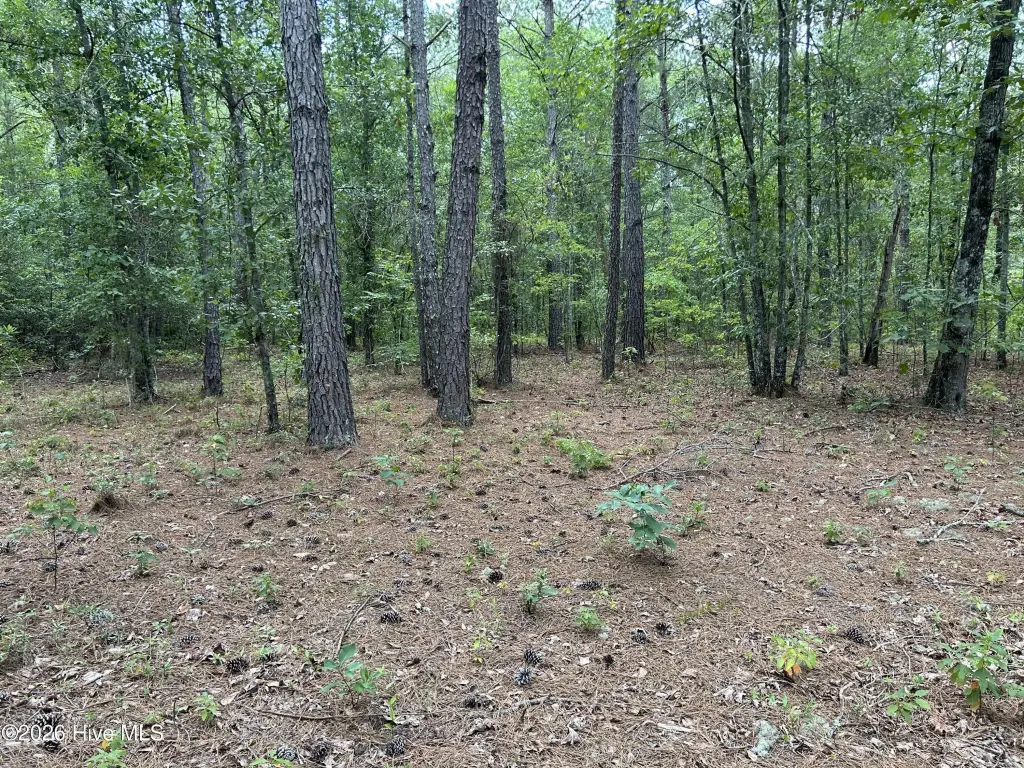 Picture 41
