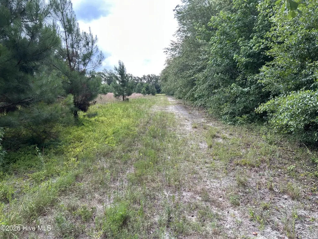 Picture 24