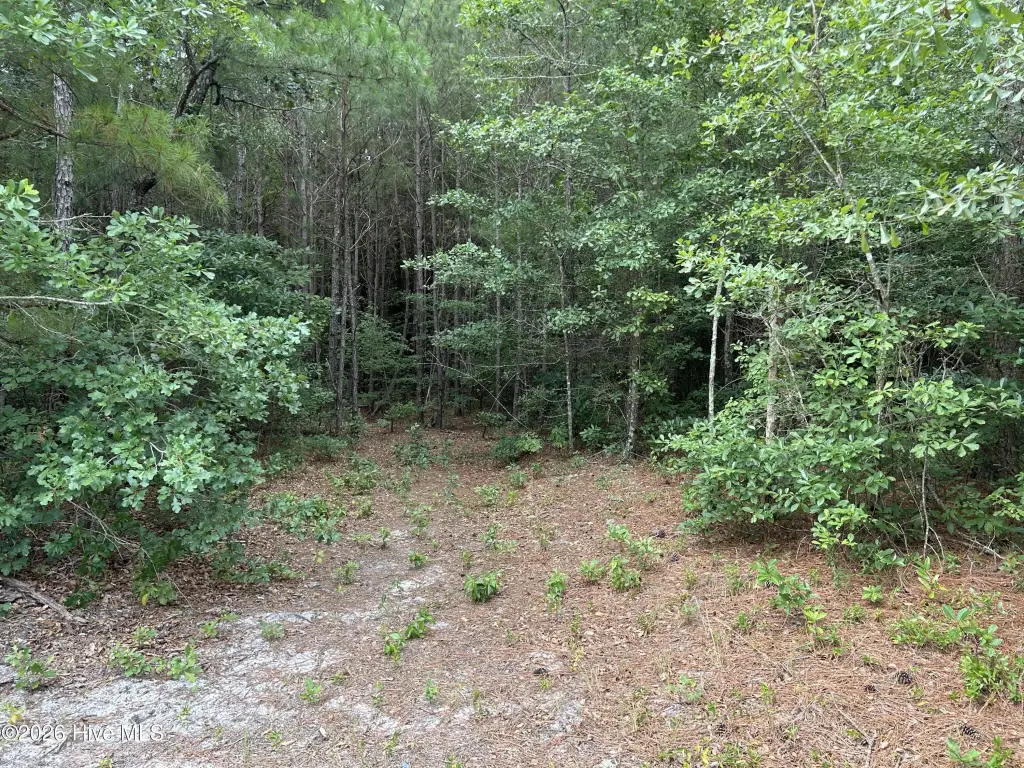 Picture 43