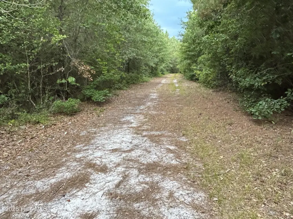 Picture 36