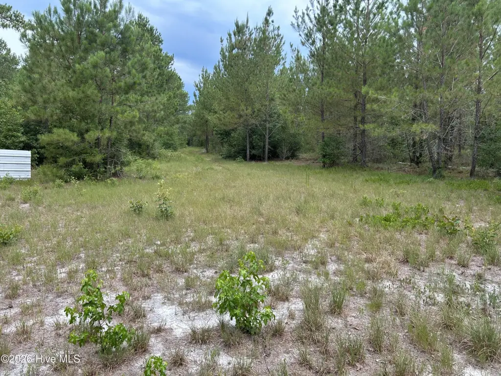 Picture 44