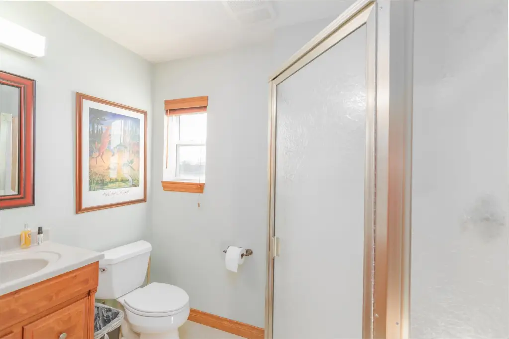 Picture 19