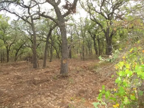 Perrin, TX Unimproved Land