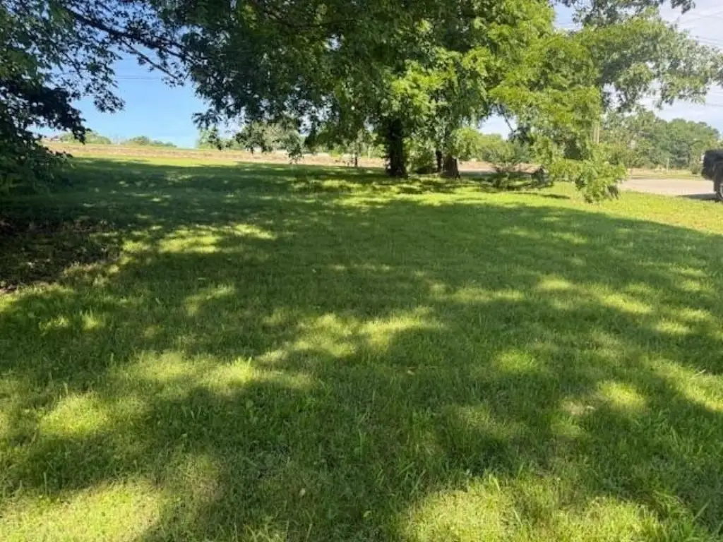 Picture 3