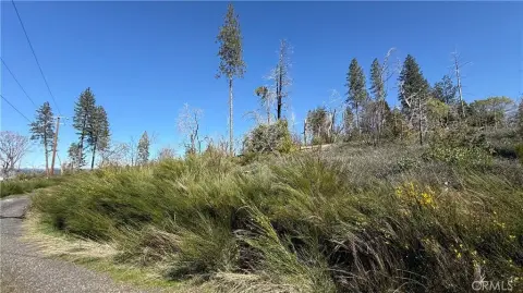 Land in Berry Creek, CA