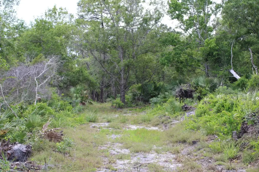 Picture 9