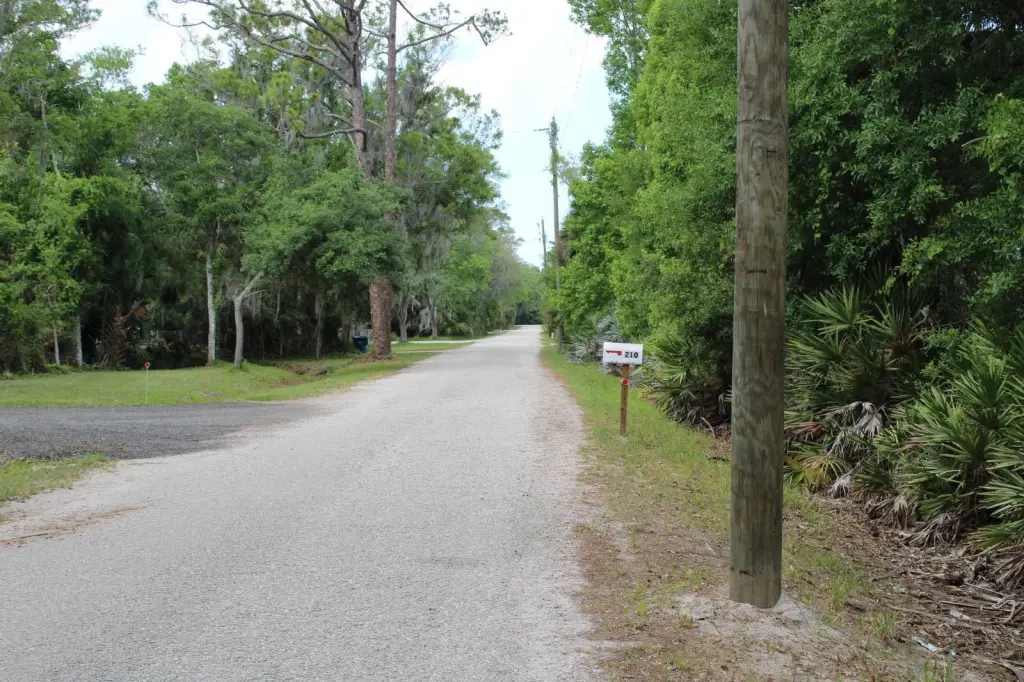 Picture 4
