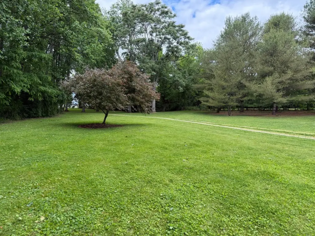 Picture 6