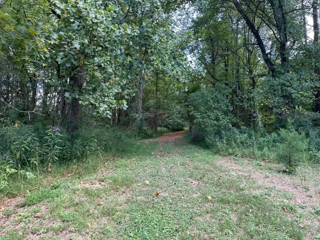 Picture 47