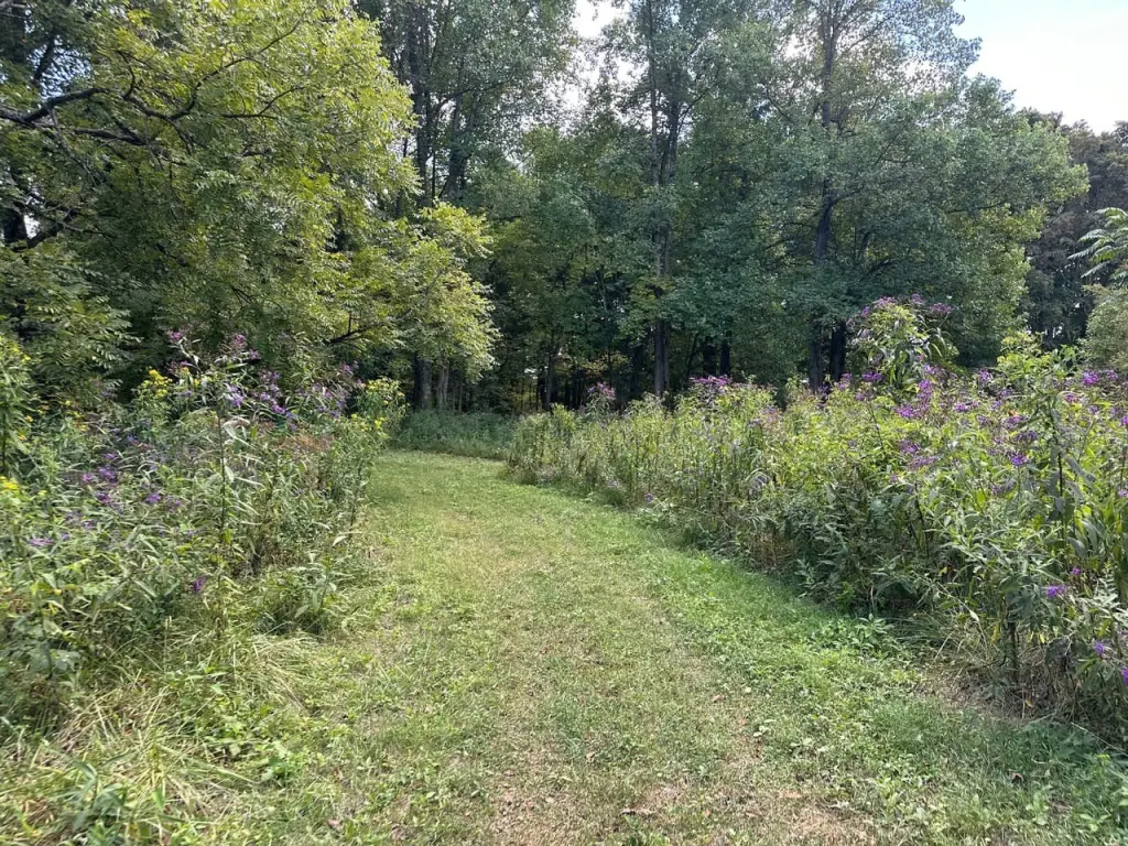 Picture 48
