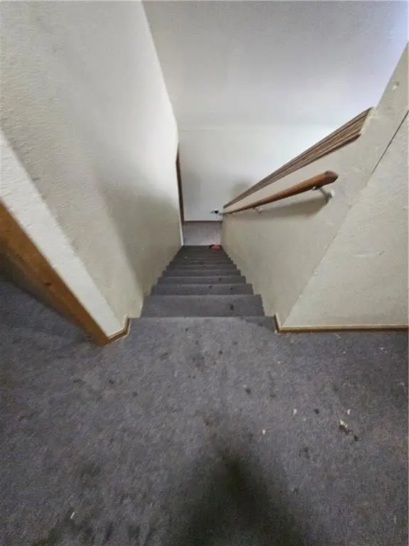 Picture 29