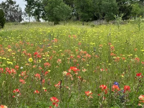 Land in Quiet Moody Neighborhood