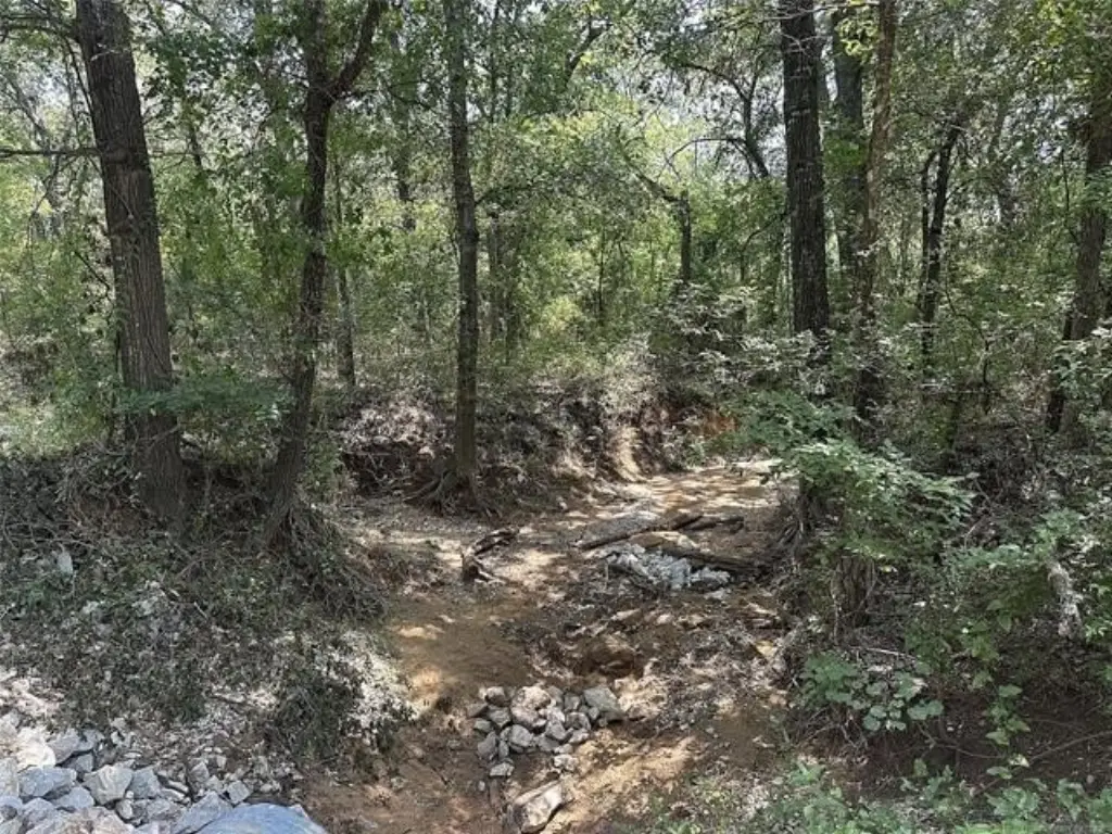 Picture 6