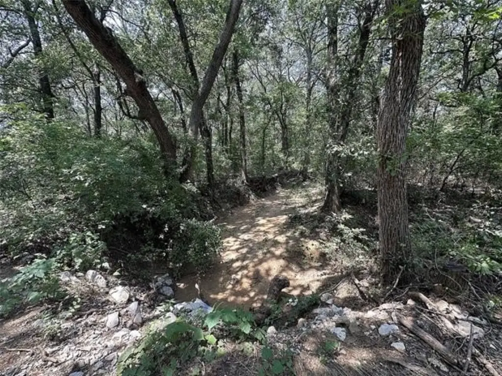 Picture 5