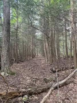 7-Acre Parcel in Jewett, NY